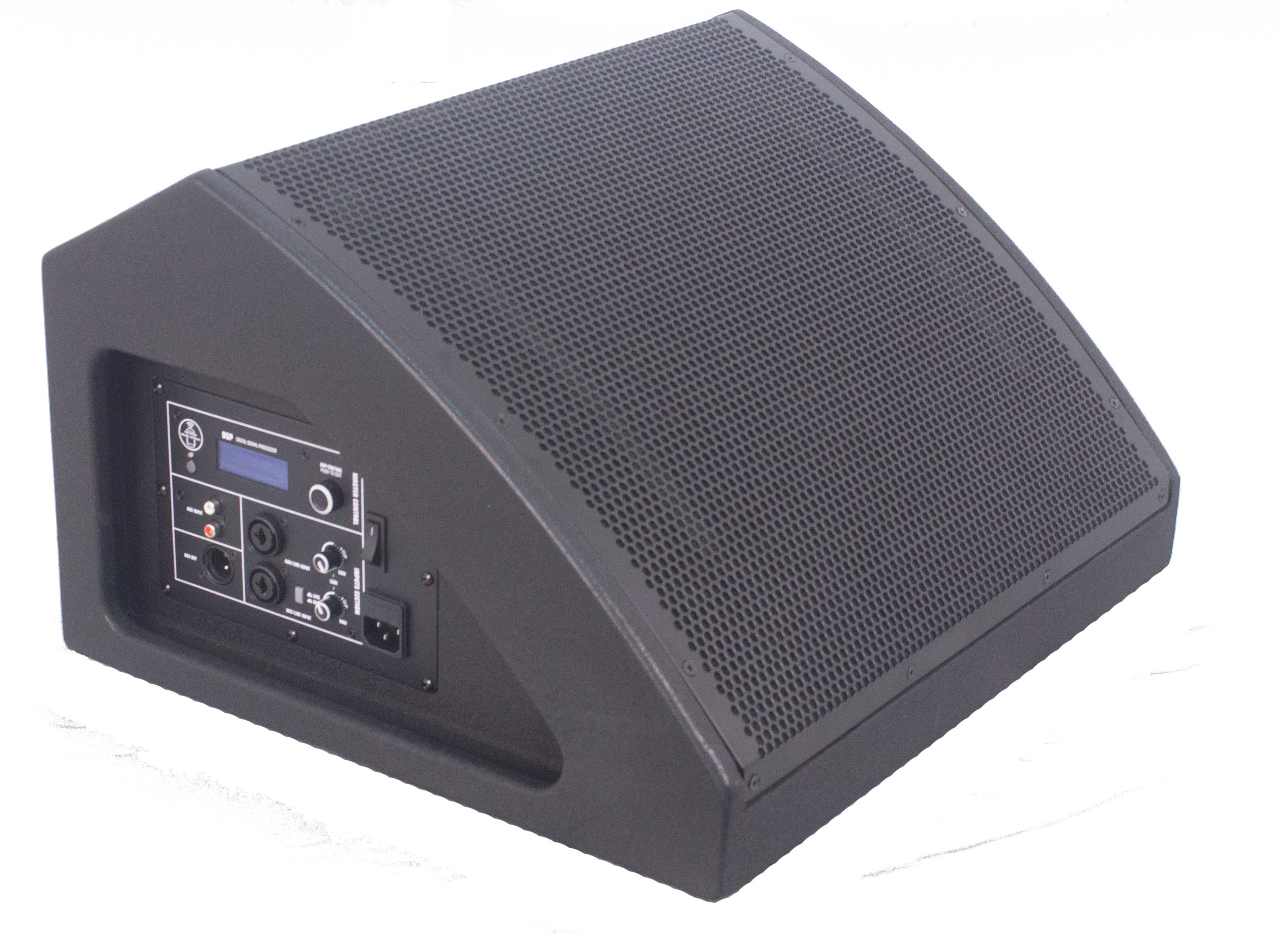 15 inch active coaxial stage monitor